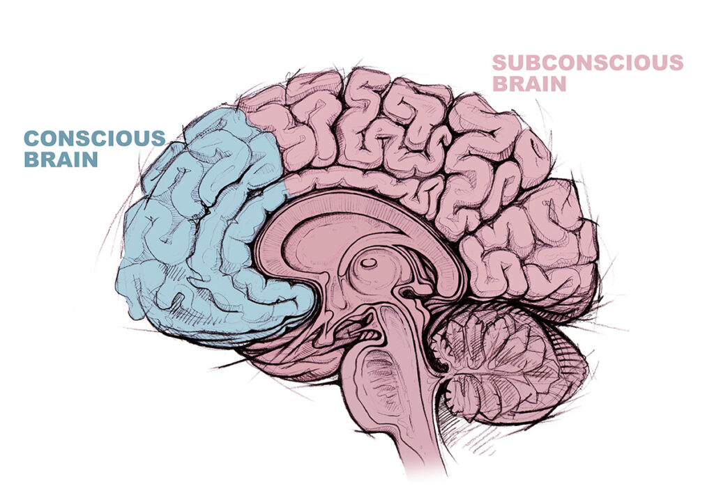 Conscious and subconscious brain parts