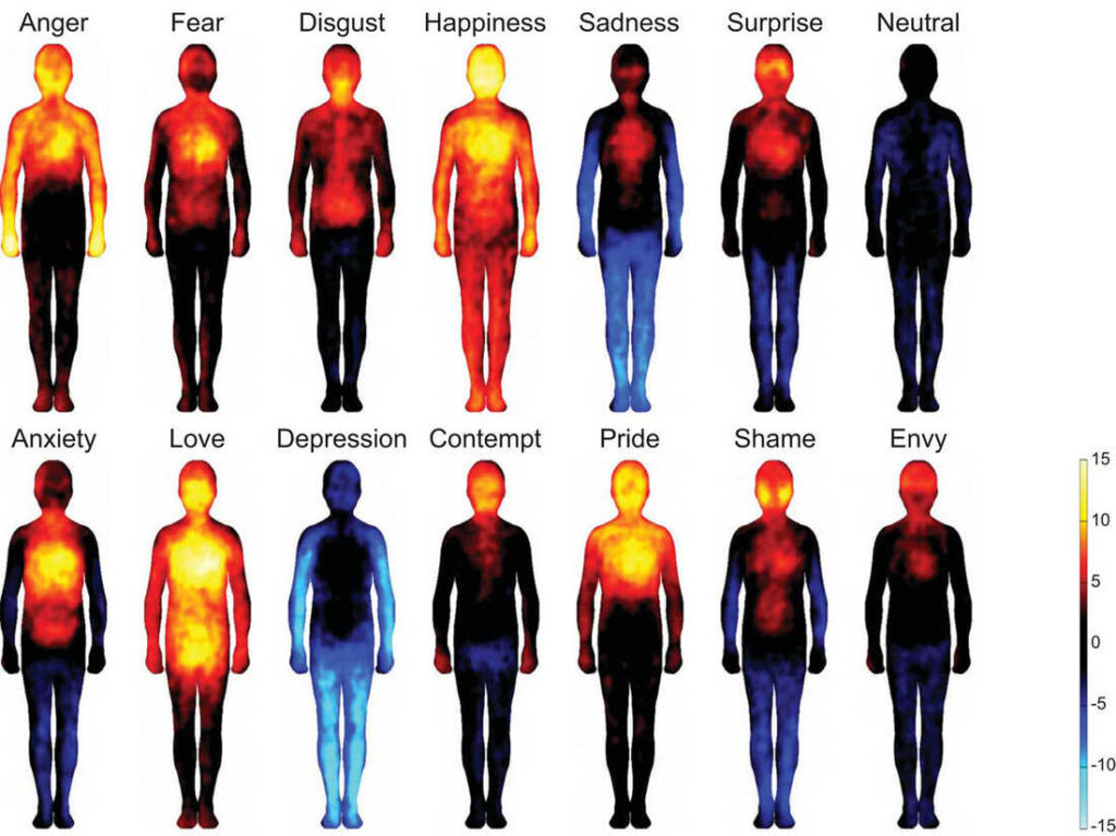 The bodily map of emotions show where different emotions are generated inside the human body.