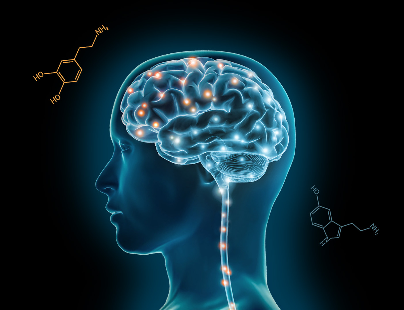 Neurochemicals, Hormones, Neuromodulators, Neurotransmitters Dopamine, Serotonin, Oxytocin, Endorphns, Norepinephrine, Epinephrine