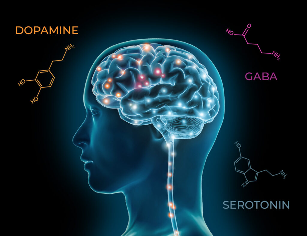 Dopamine, Serotonin, GABA