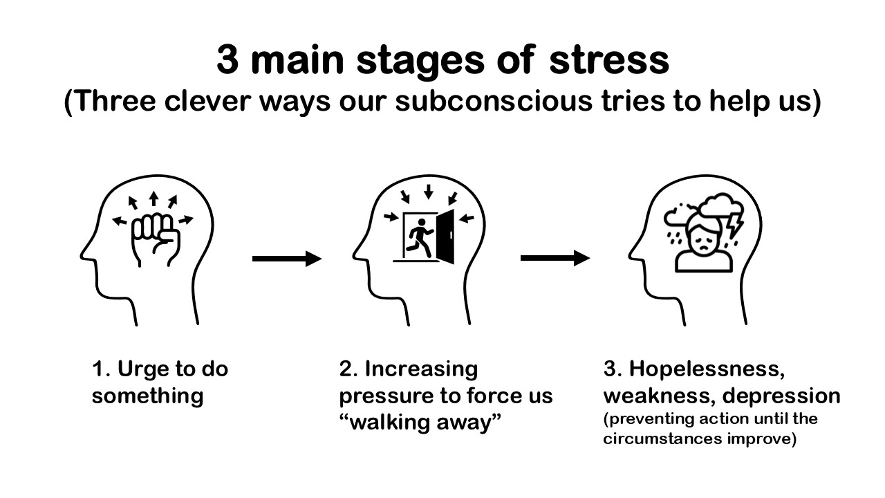 The tree main stages of stress.